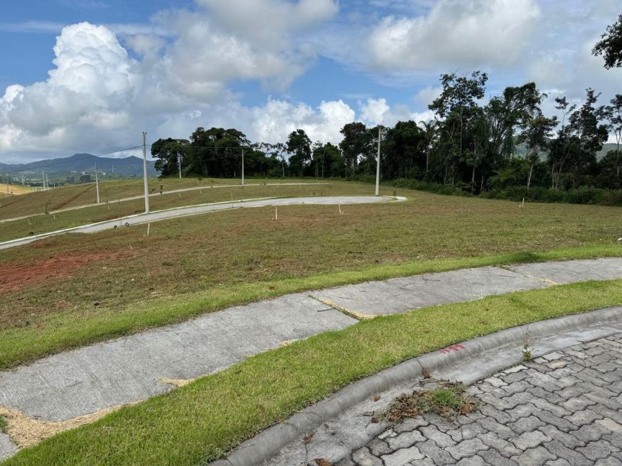 Terreno em Condomnio - Venda - Rio do Meio - Itaja - SC